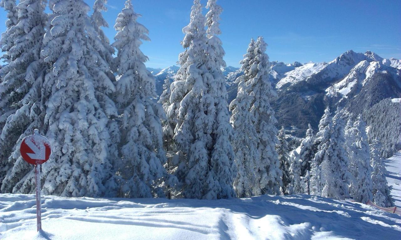 Landhaus Gruber Winter Alpendorf  Esterno foto